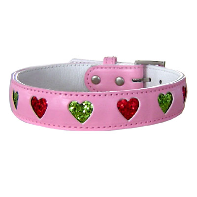 Pet Collars and Leads