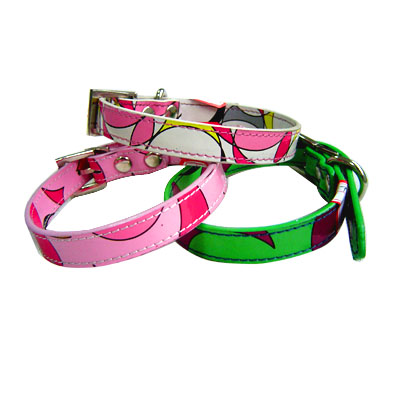 Pet Collars and Leads