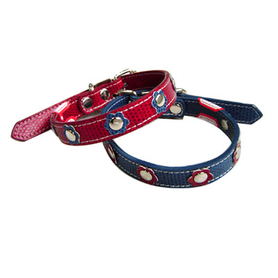 Pet Collars and Leads