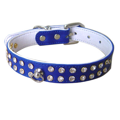 Pet Collars and Leads