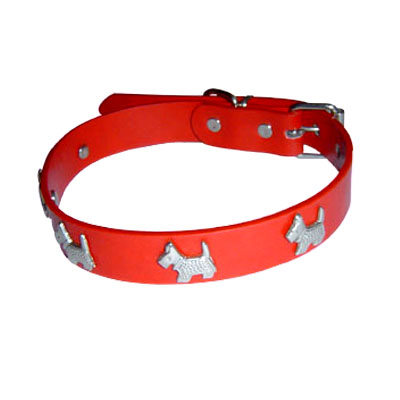 Pet Collars and Leads