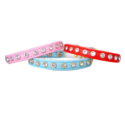 Pet Collars and Leads