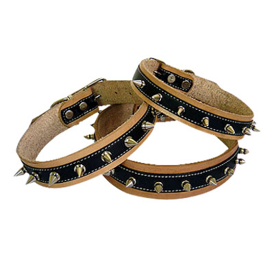 Pet Collars and Leads