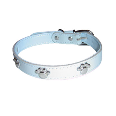 Pet Collars and Leads