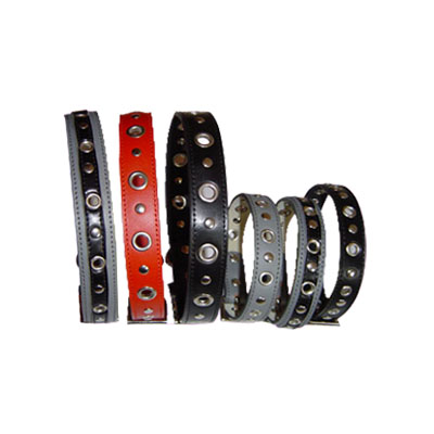 Pet Collars and Leads