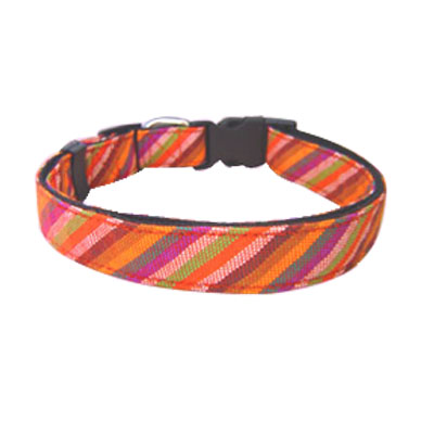 Pet Collars and Leads