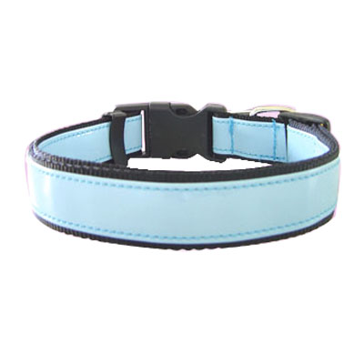 Pet Collars and Leads