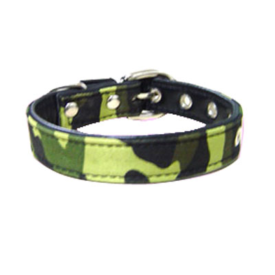 Pet Collars and Leads