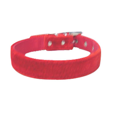 Pet Collars and Leads