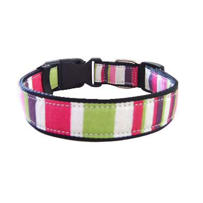 Pet Collars and Leads