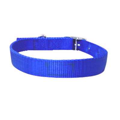 Pet Collars and Leads