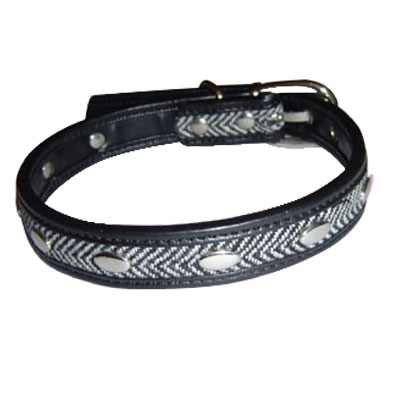 Pet Collars and Leads