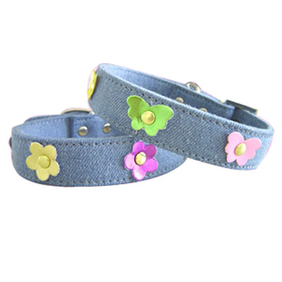 Pet Collars and Leads