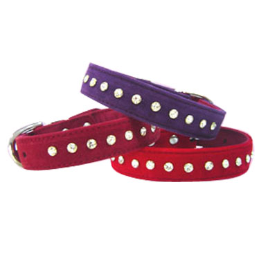 Pet Collars and Leads