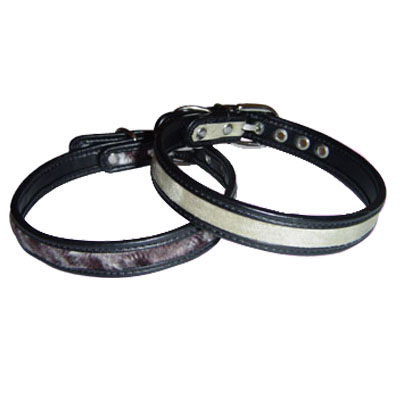 Pet Collars and Leads