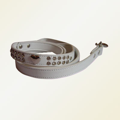 Pet Collars and Leads