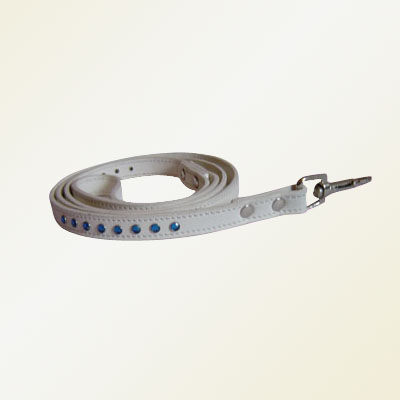 Pet Collars and Leads