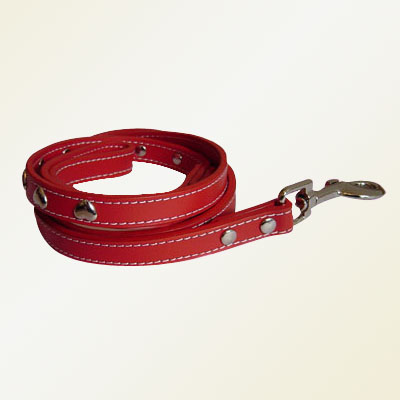 Pet Collars and Leads