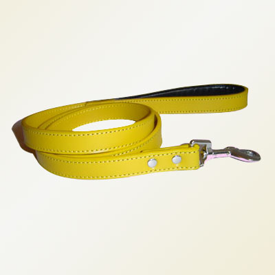 Pet Collars and Leads