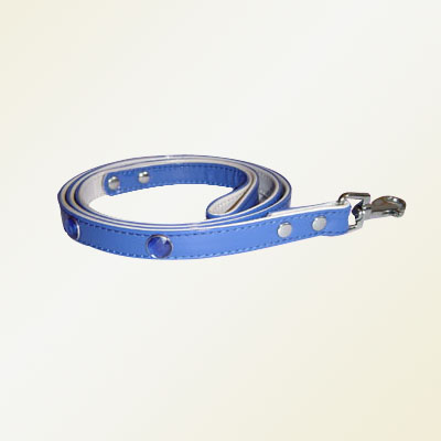 Pet Collars and Leads