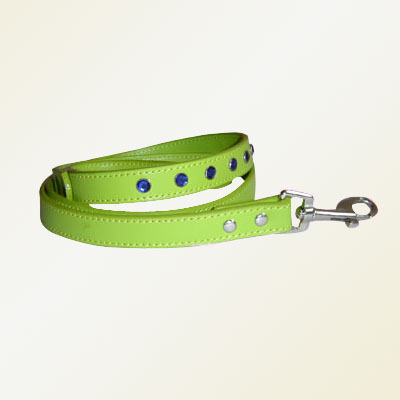 Pet Collars and Leads