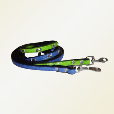 Pet Collars and Leads