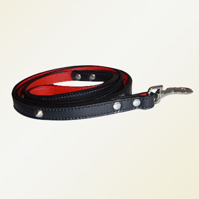 Pet Collars and Leads