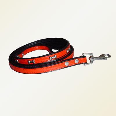 Pet Collars and Leads