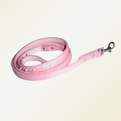 Pet Collars and Leads