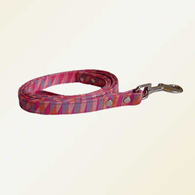 Pet Collars and Leads