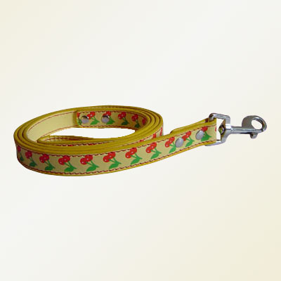 Pet Collars and Leads