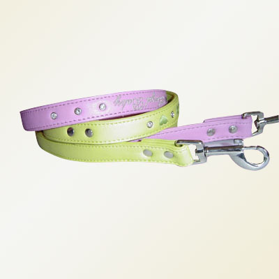 Pet Collars and Leads