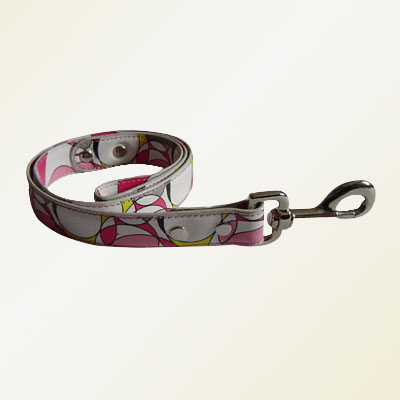 Pet Collars and Leads