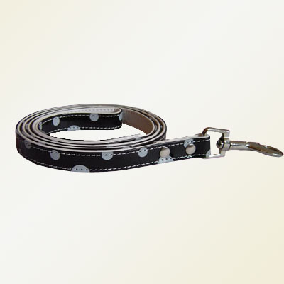 Pet Collars and Leads