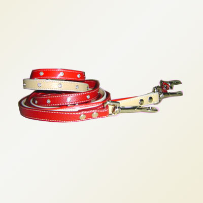 Pet Collars and Leads