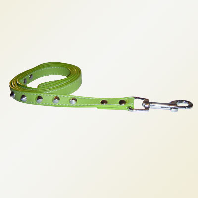 Pet Collars and Leads