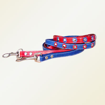 Pet Collars and Leads