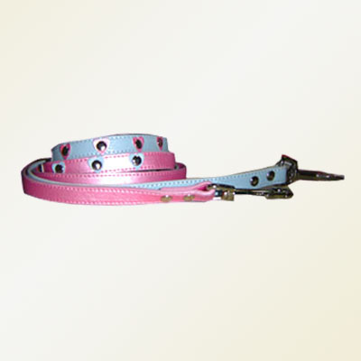 Pet Collars and Leads