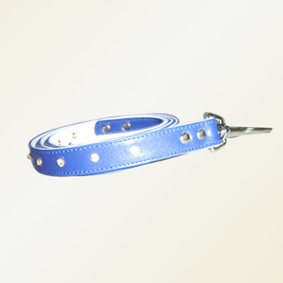 Pet Collars and Leads