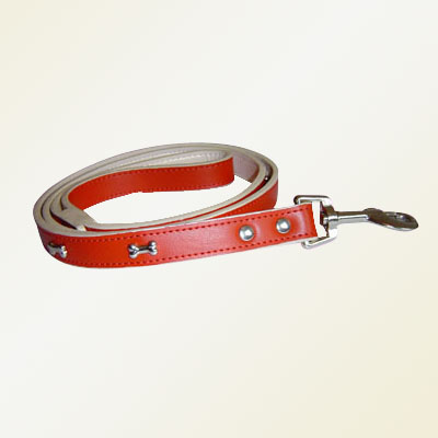 Pet Collars and Leads