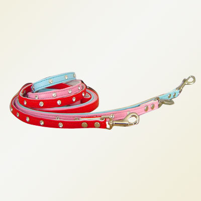 Pet Collars and Leads