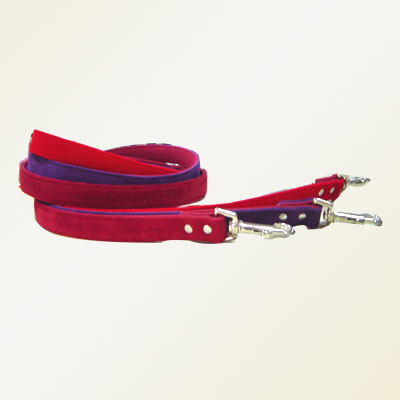 Pet Collars and Leads