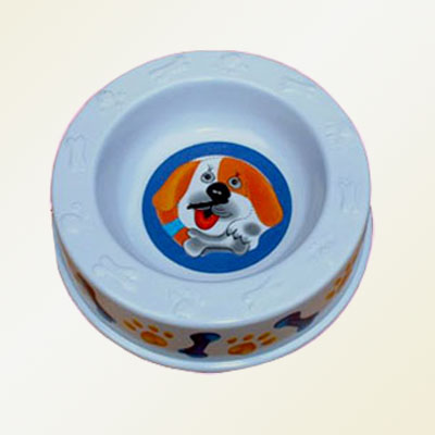 Dog Bowl