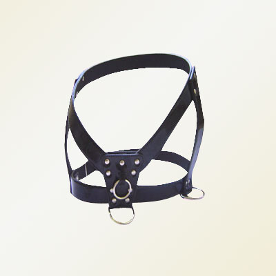 Pet Collars and Leads