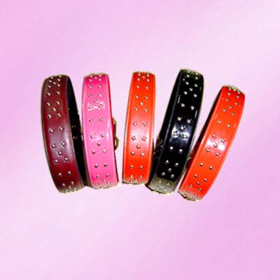 studs Dog Collar