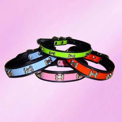 Color Dog Collar