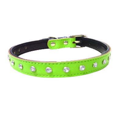 Reflective Dog Collar