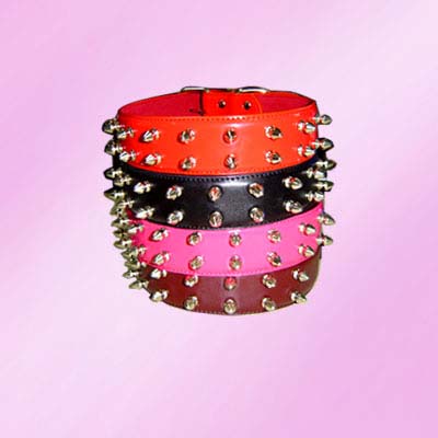 Spike Dog Collar