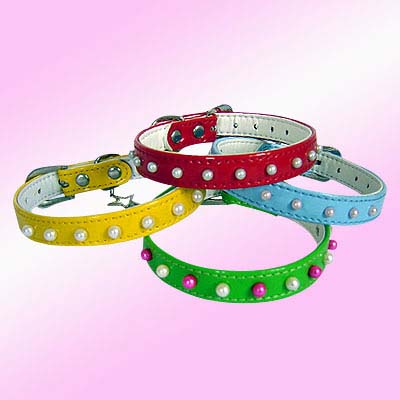 Large Dog Collar