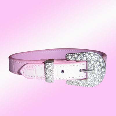 Jeweled Dog Collar